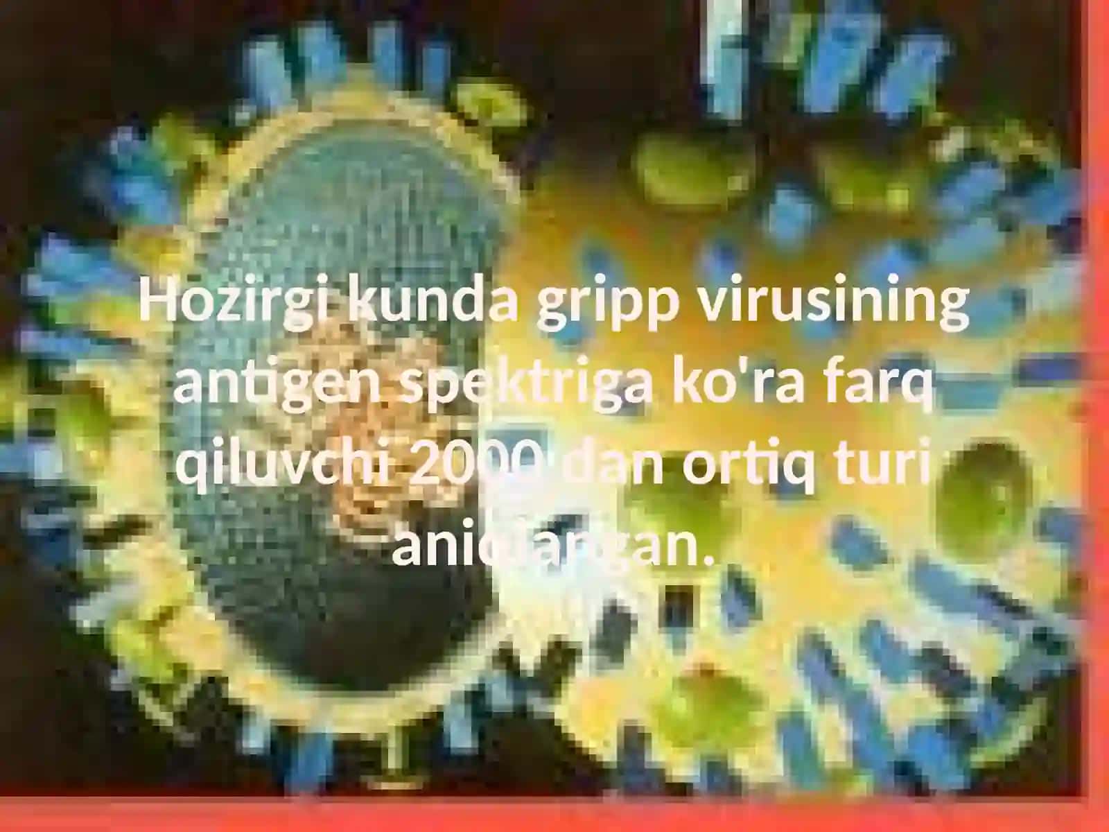 Gripp virusli kasalligi va davolash 3