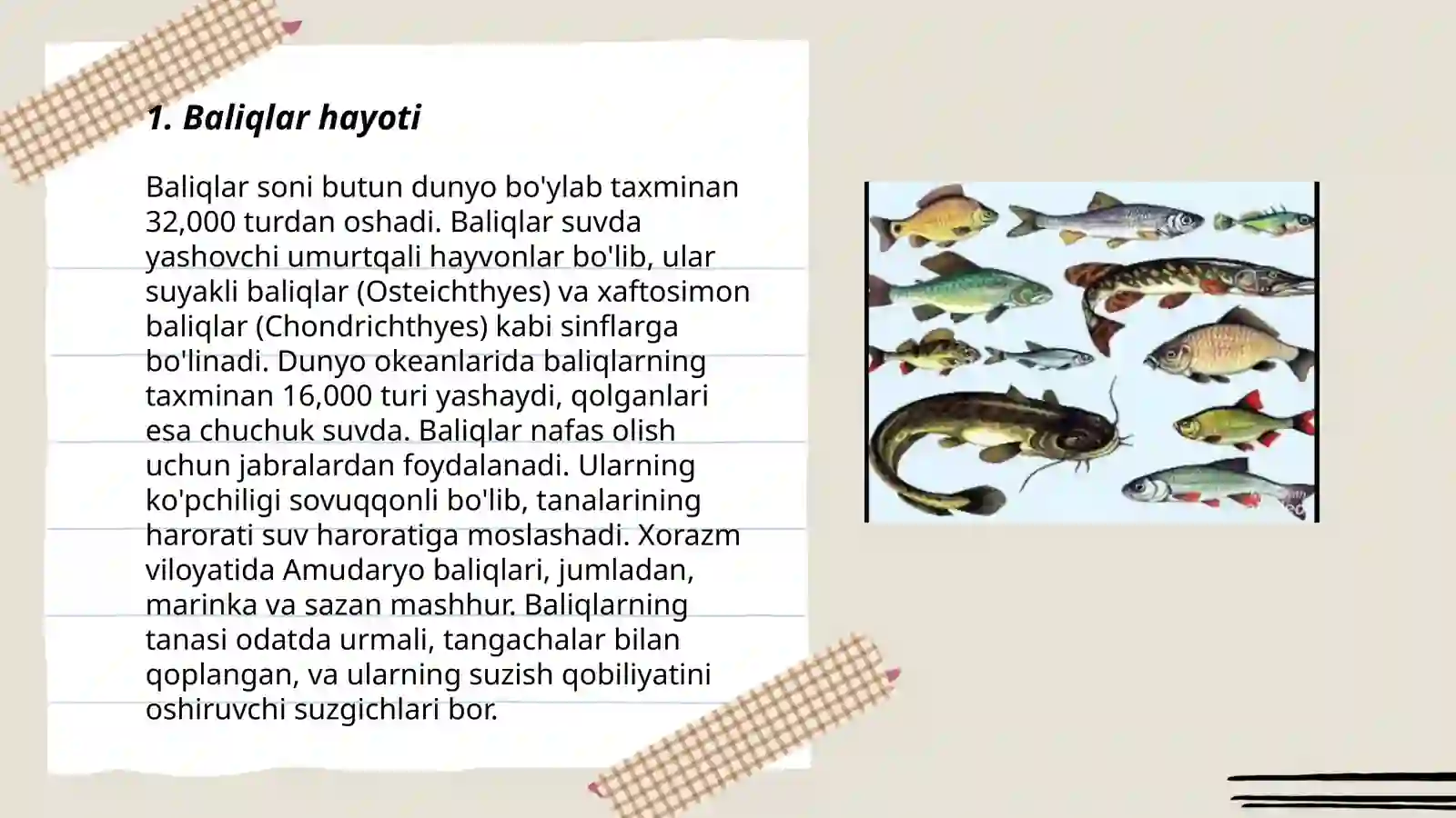 Baliqlar mavzusining dars rejasi va o'tish metodi 3
