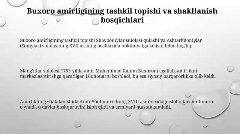 Buxoro amirligining tashkil topishi va siyosiy tarixi 3