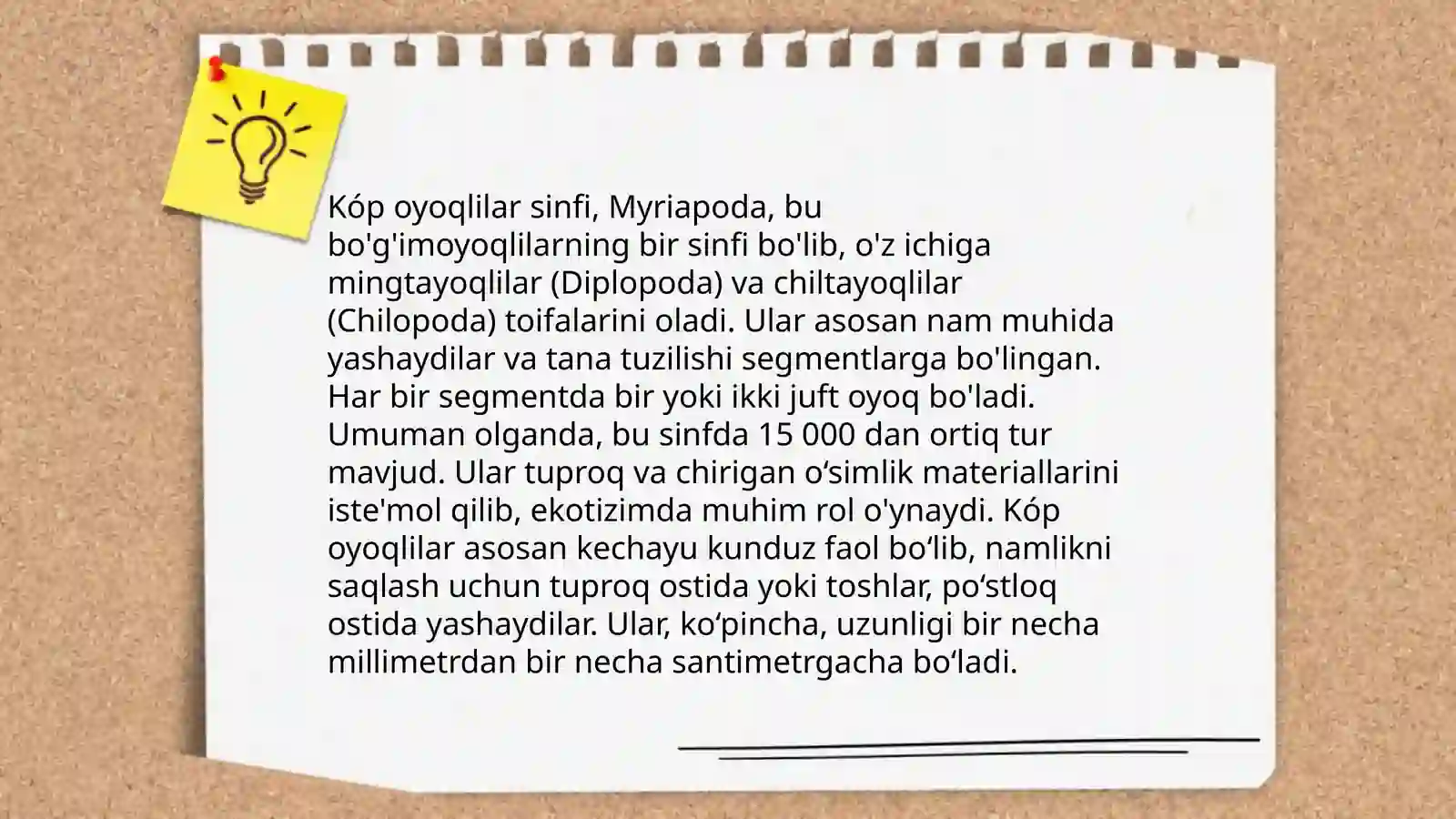 Kóp oyoqlilar sinfi 3