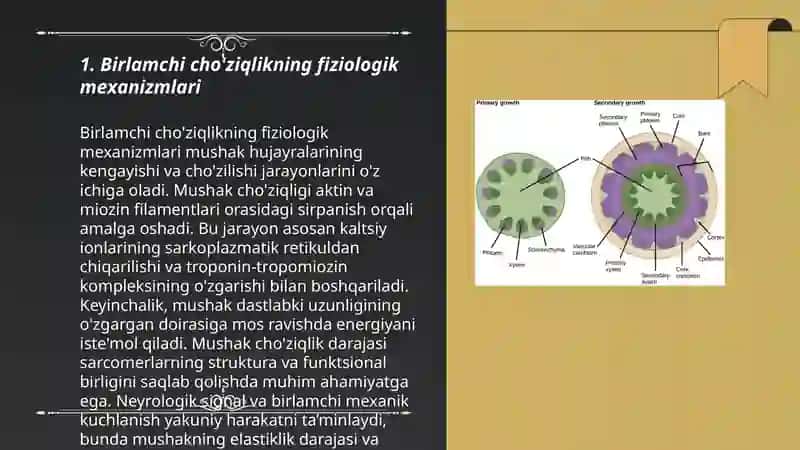 Birlamchi, Ikkilamchi va emfatik(ultra) cho'ziqlik 3