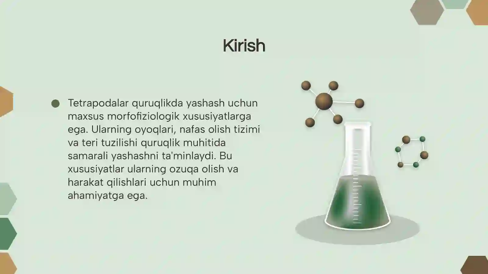 Tetrapodalar va morfofiziologik xususiyatlari 3