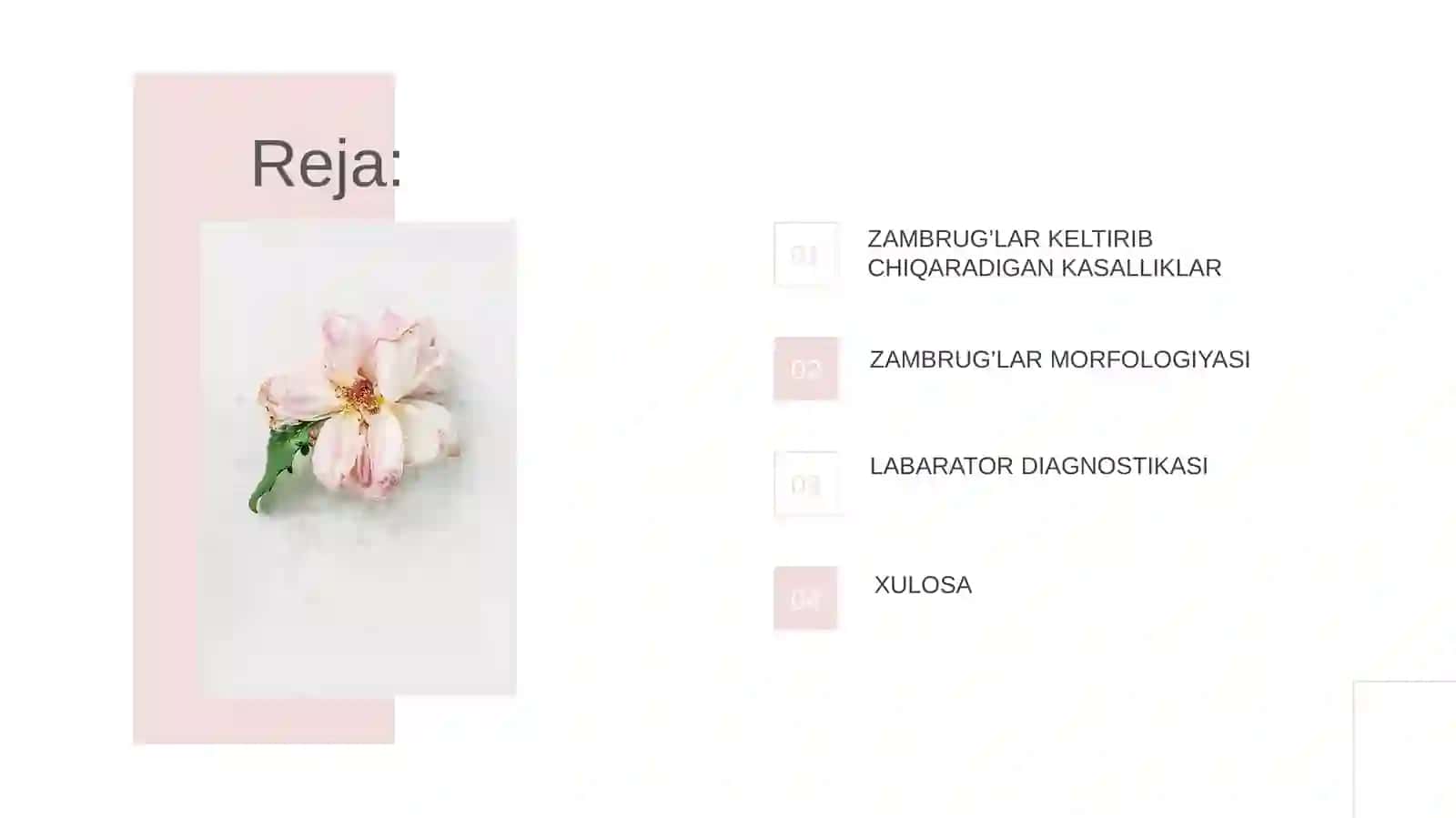 PATOGEN ZAMBRUG’LAR CHIQARUVCHI KASALLIKLAR VA ULARNI LABARATORIYA DIAGNOSTIKASI 3