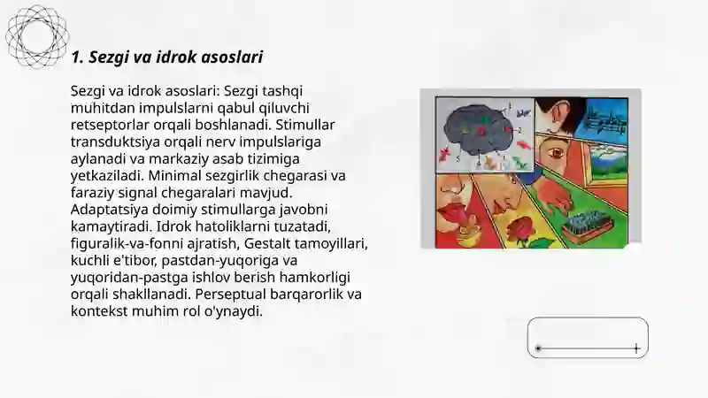 Sezgi va idrok 3