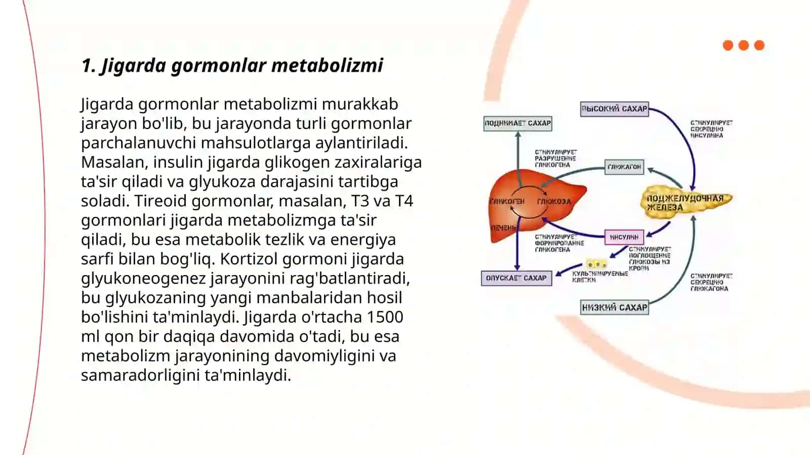 Jigarda gormonlarni zararsizlantirilishi, klinik ahamiyati 3