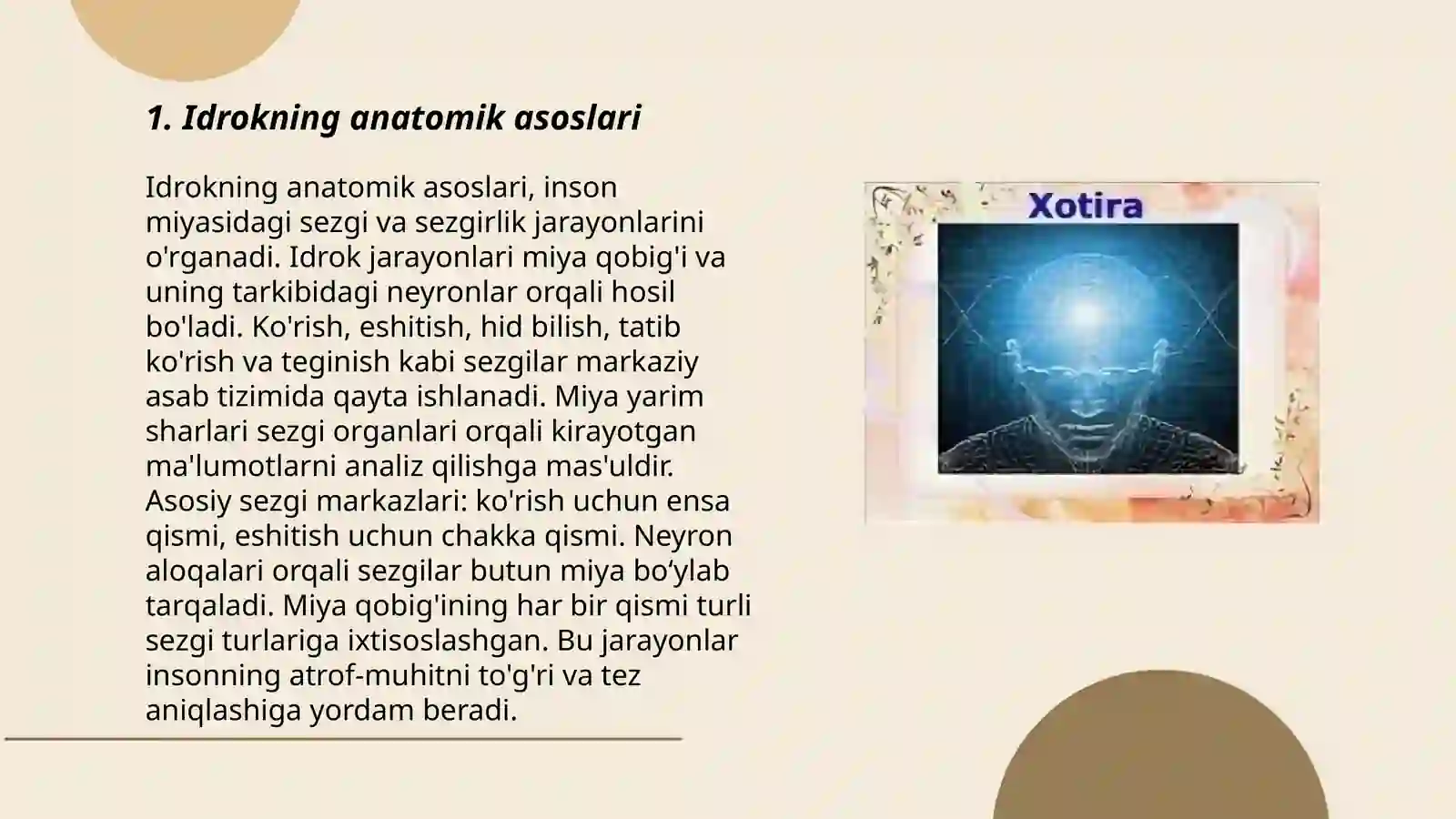 Idrok va xotira haqida tushuncha, uning nerv-fiziologik asosi 3