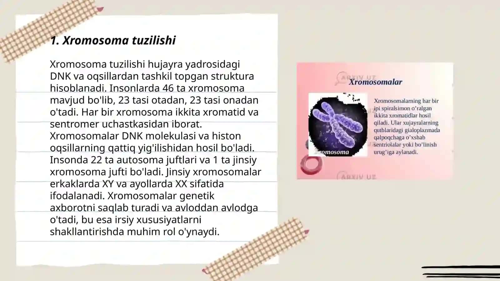 Xromosomalar va ularning tiplari 3