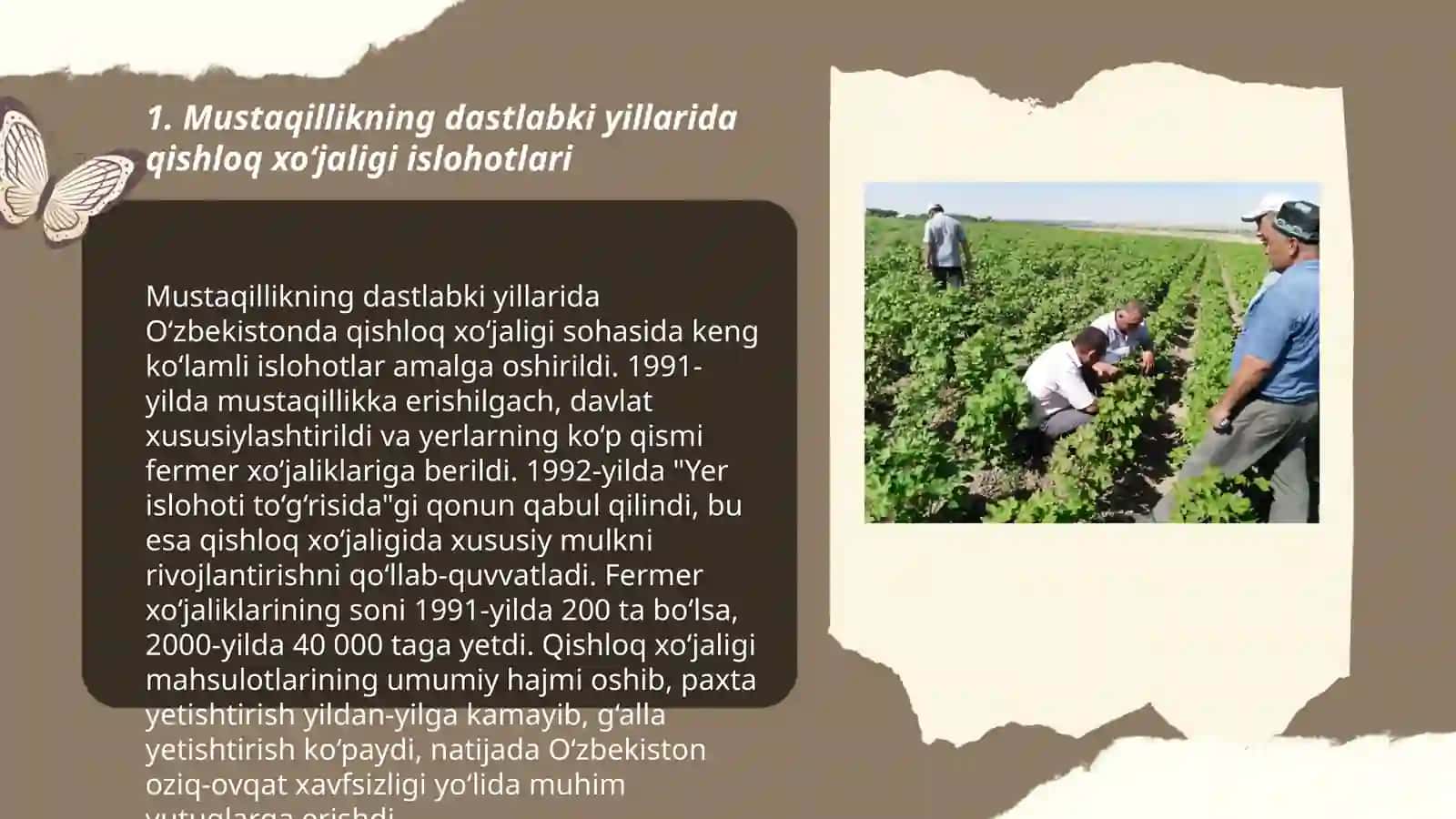 Mustaqillik yillarida qishloq xoʻjalik va sanoat sohasidagi oʻzgarishlar 3