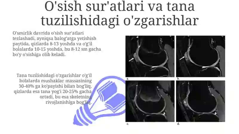 Yosh davrlarining morfologik va fiziologik xususiyatlari 3