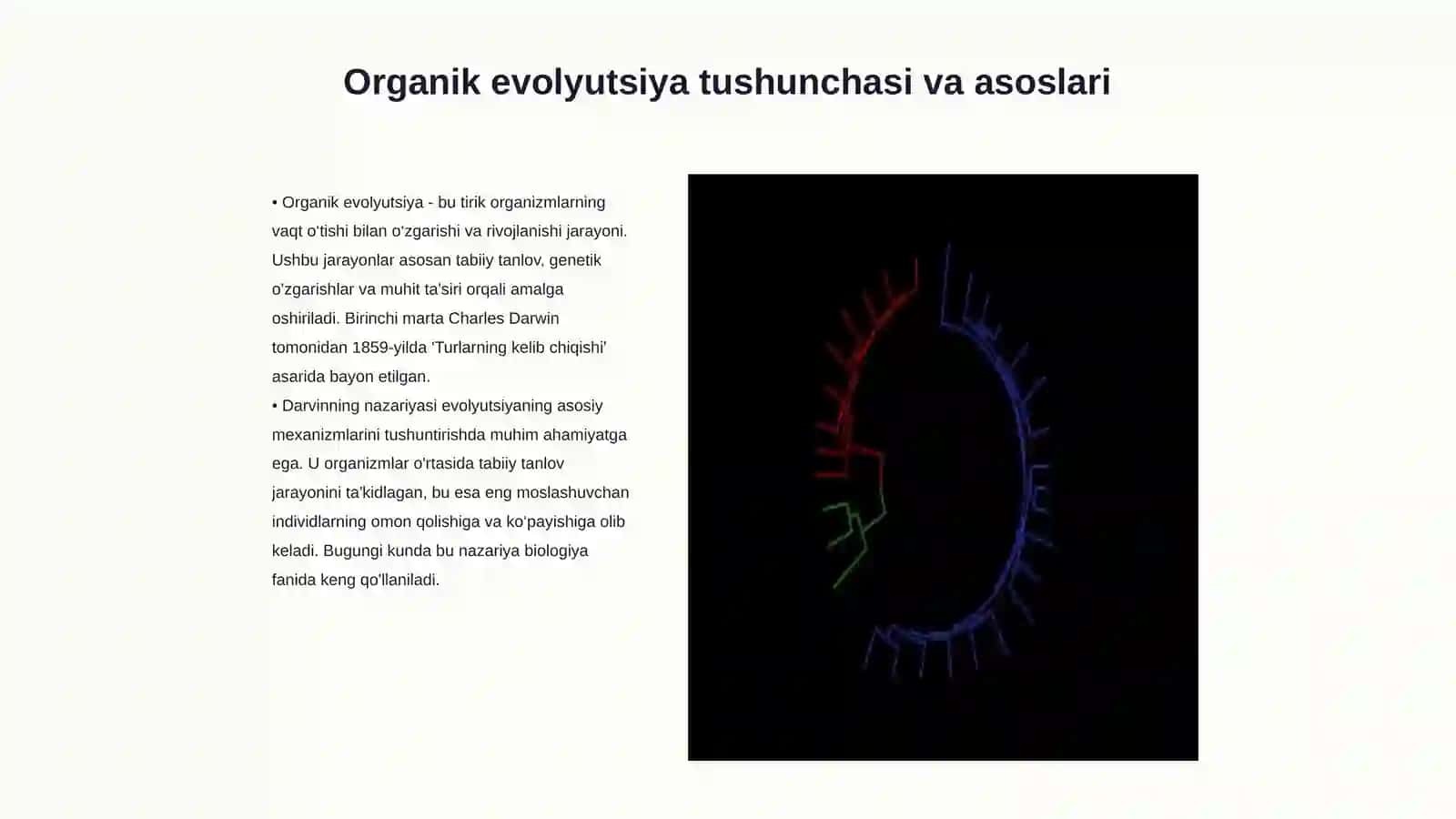 Organik evolyutsiyadan turdan tashqari sistematik guruhlarning kirshi 3