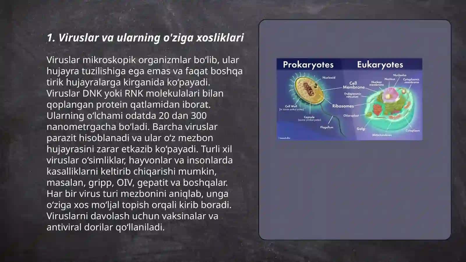 Viruslar.Pro-eukariot hujayralar.Ularning o'ziga xos umumiy tuzilishi va farqlari 3