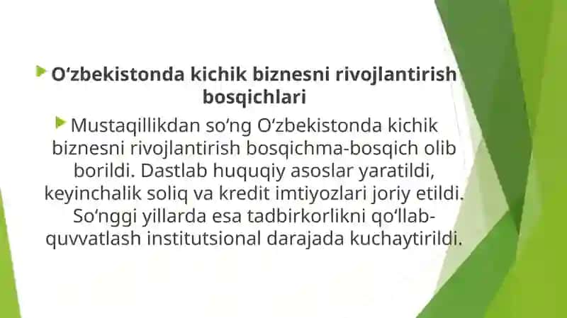 Kichik biznes va xususiy tadbirkorlik 3