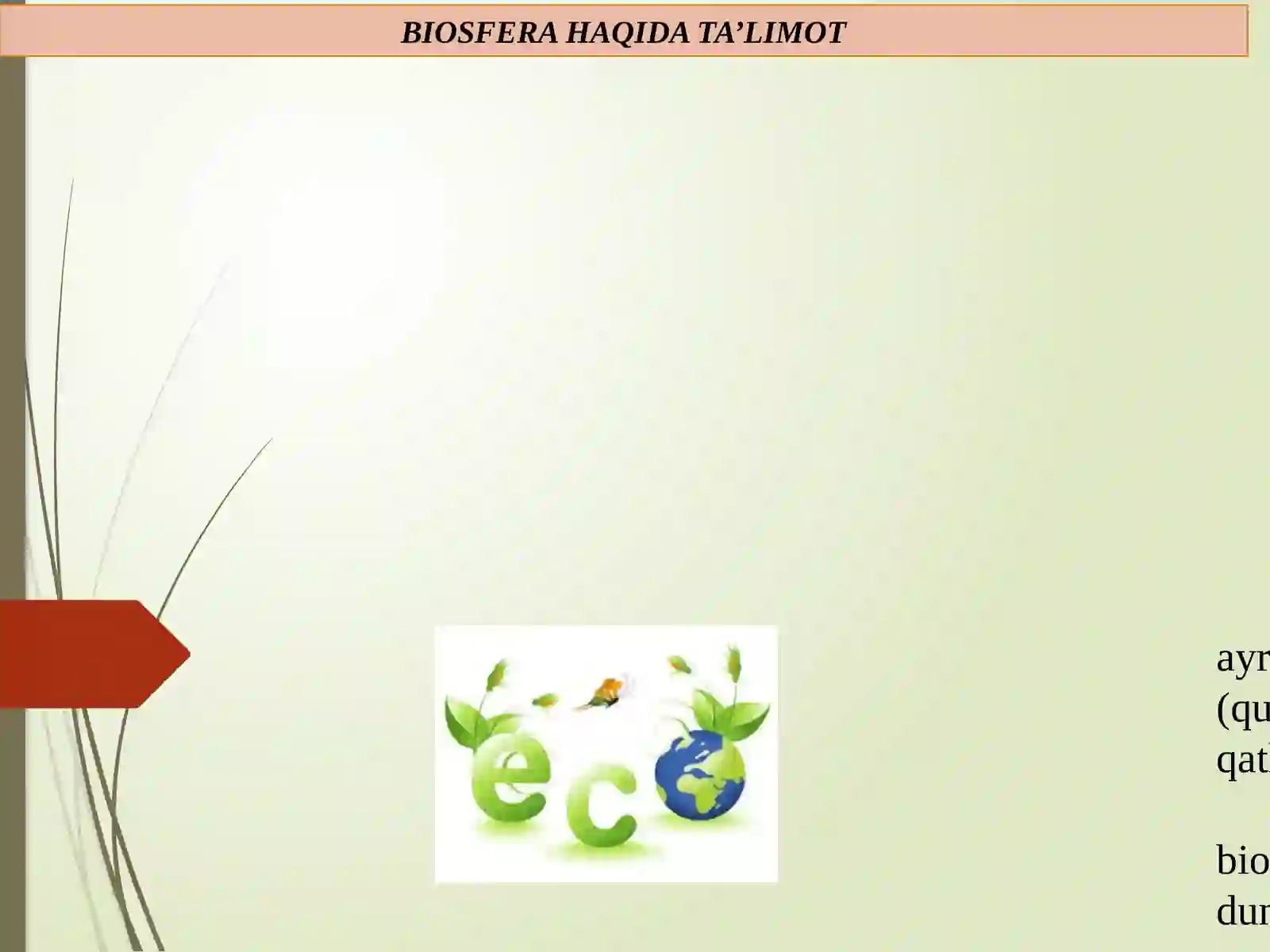 BIOSFERA VA UNING TUZILISHI 3