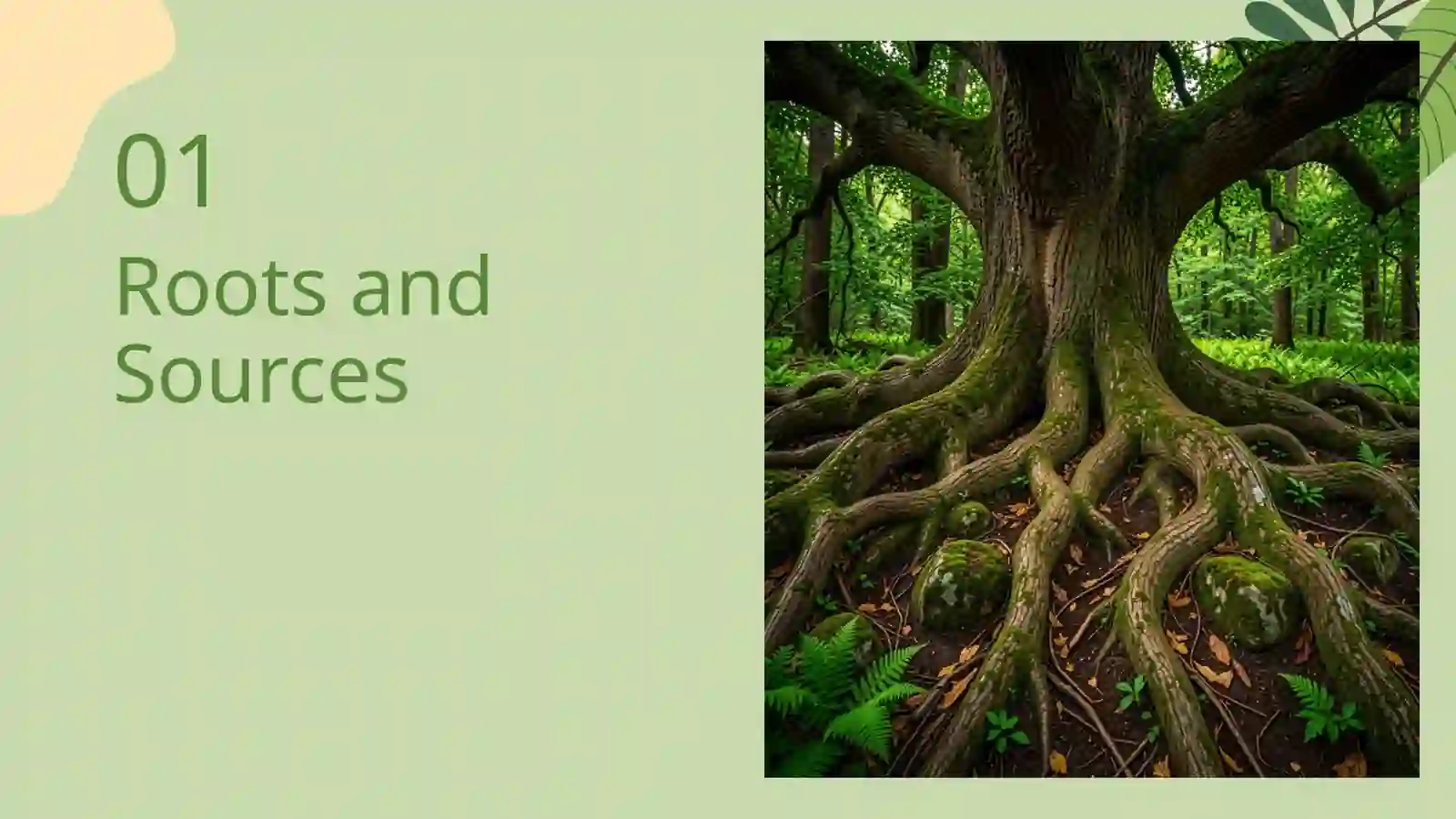English Roots 3