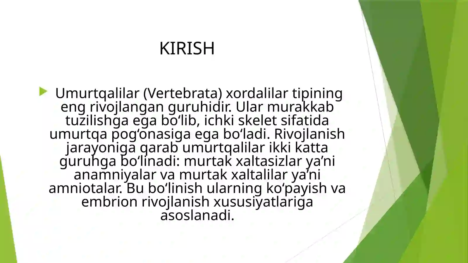 Murtakxaltasiz–Anamniyalar va Murtakxaltali–Amniotalar 3