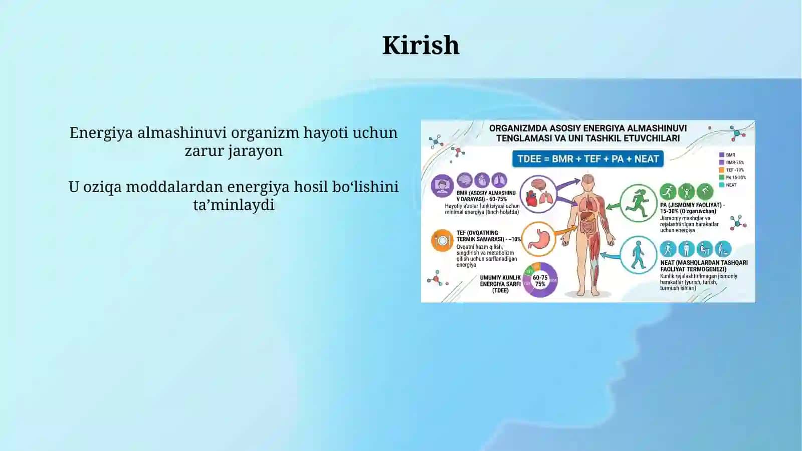 Organizmda asosiy energiya almashinuvi tenglamasi va uni tashkil etuvchilari 3