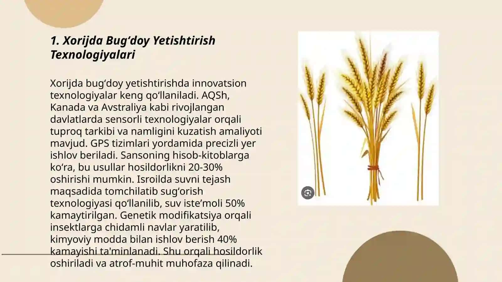 Bugʻdoy yetishtirishda xorijiy tadbirlar 3