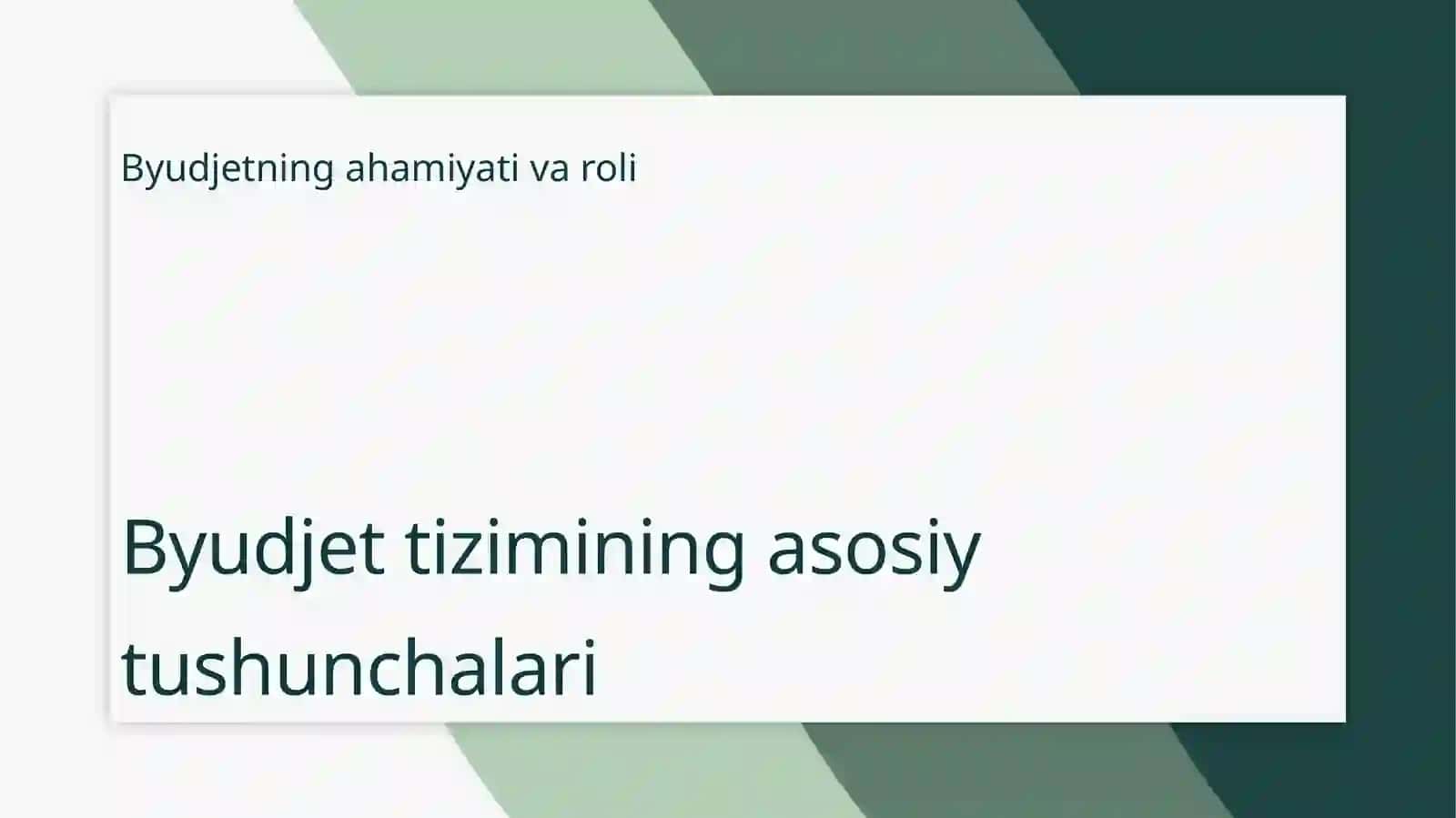 Byudjet tizimi va uning mohiyati 3