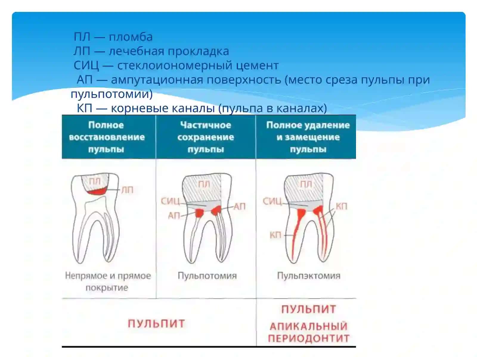 Лечение пульпитов витальная экстрипация 3