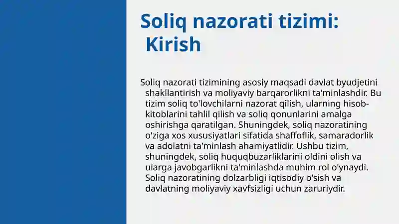 Soliq nazorati tizimi 3