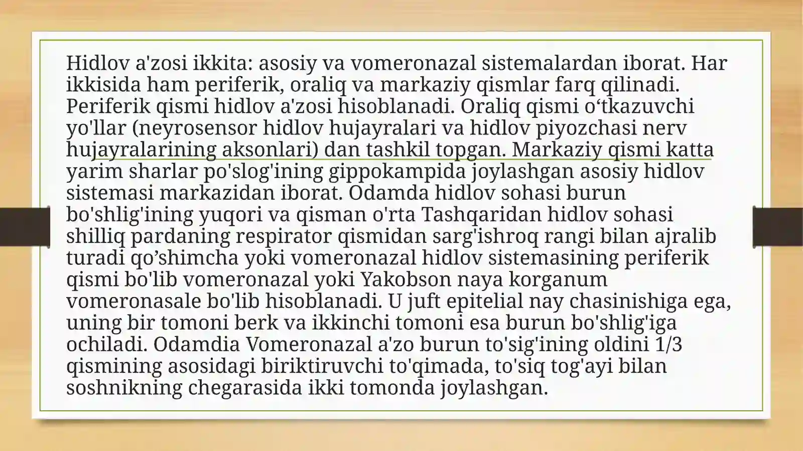 Sezgi a’zolari 3