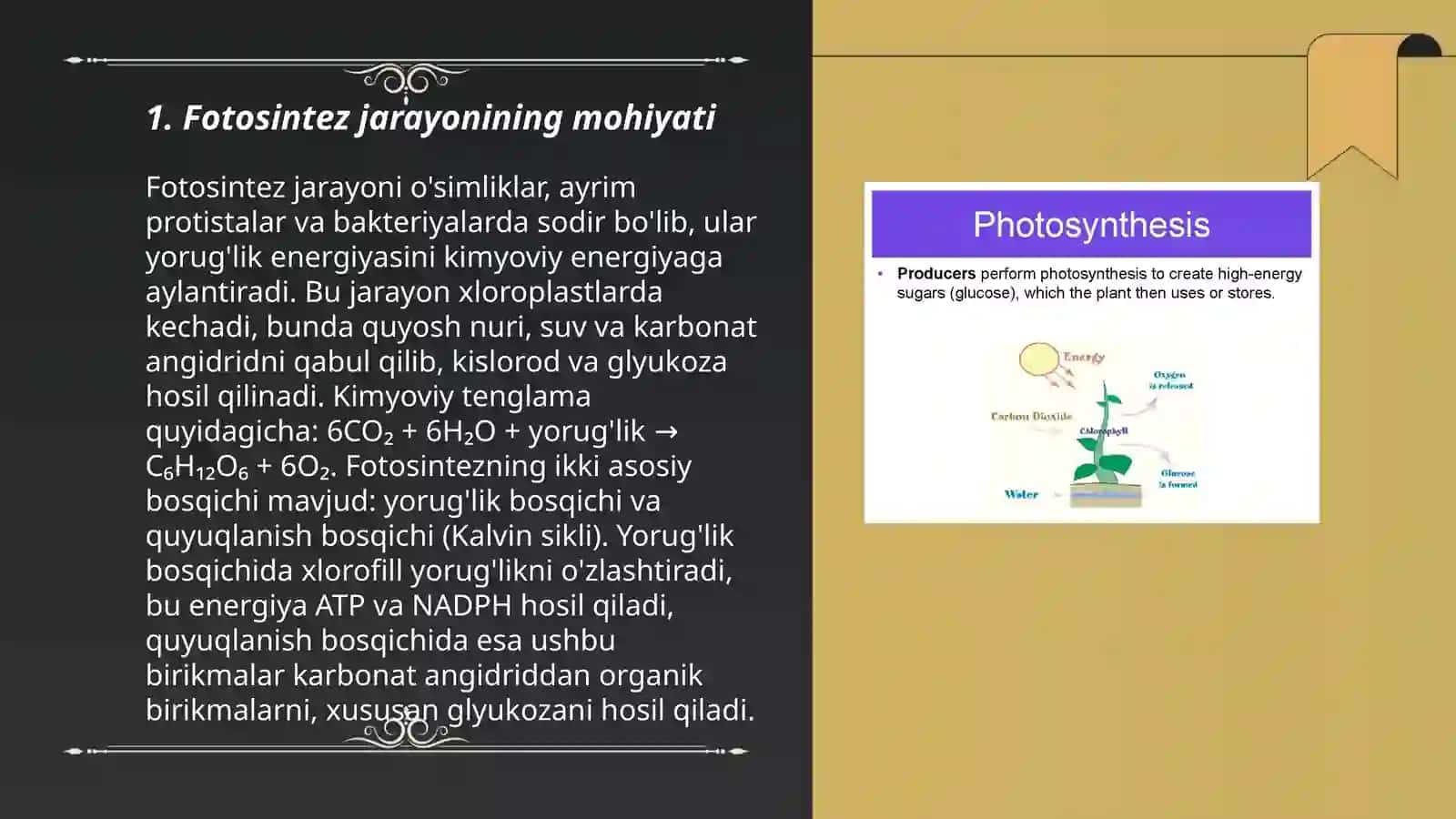 Fotosintez jarayonida hosil boʻlgan moddalar 3