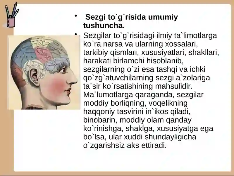 SEZGI 3