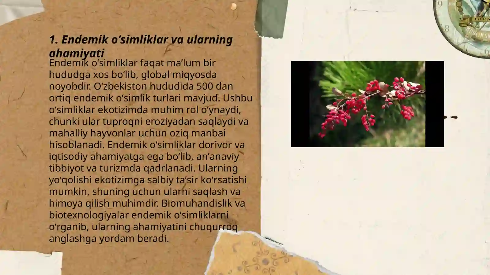Fargʻona Davlat Universiteti Tabiiy fanlar fakulteti Ekologiya yoʻnalishi 2360-guruh talabasi Doniyorova Dildora 3