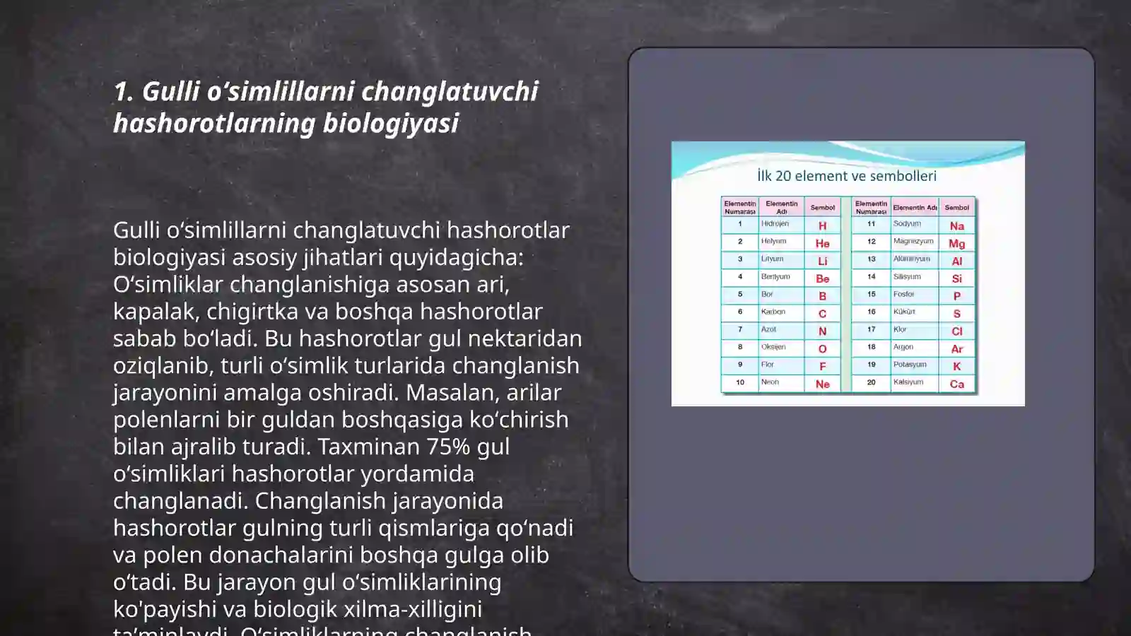 Gulli oʻsimlillarni changlatuvchi hashorotlar 3