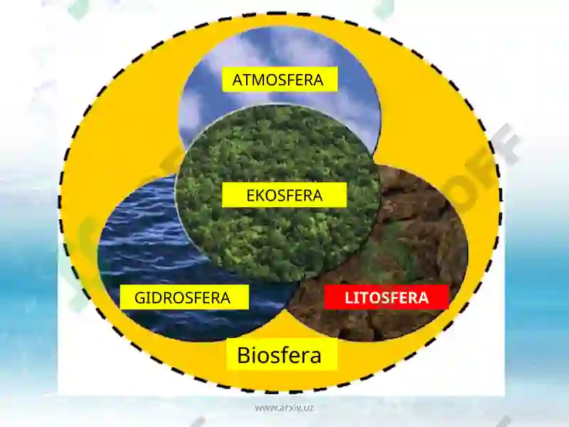 Litosfera 3