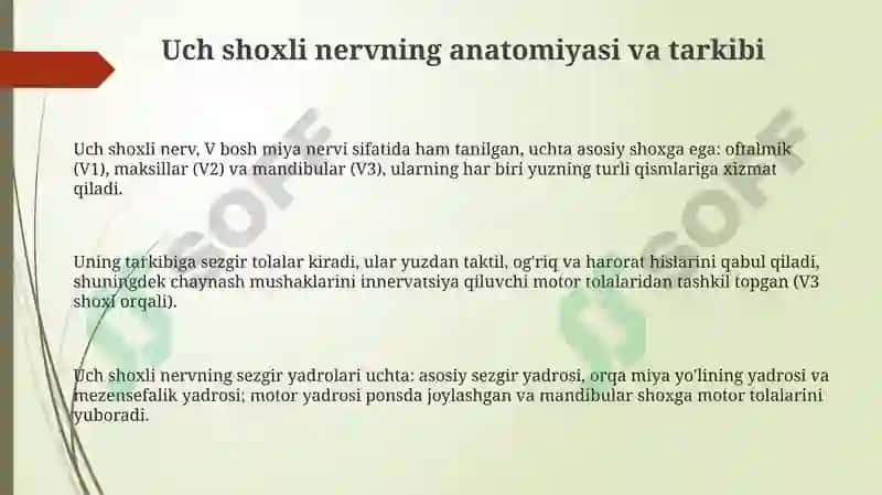 Uch shoxli nerv 3