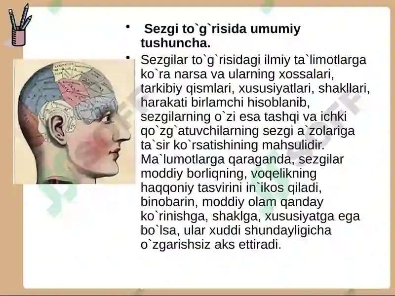 Sezgihaqidatushuncha 3