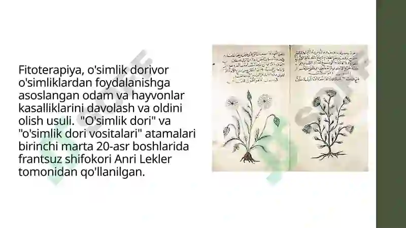 FITOPREPARATLAR VA ULARNING QO’LLANISHI 3
