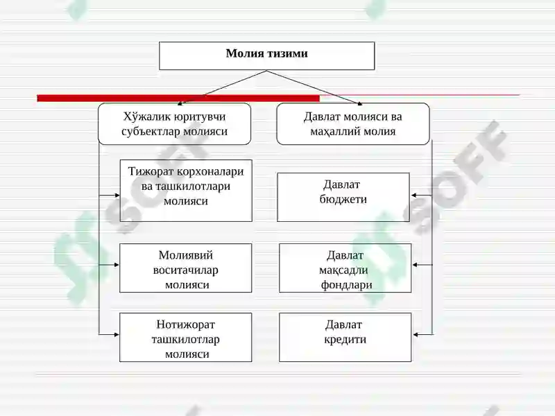 Молия тизими 3