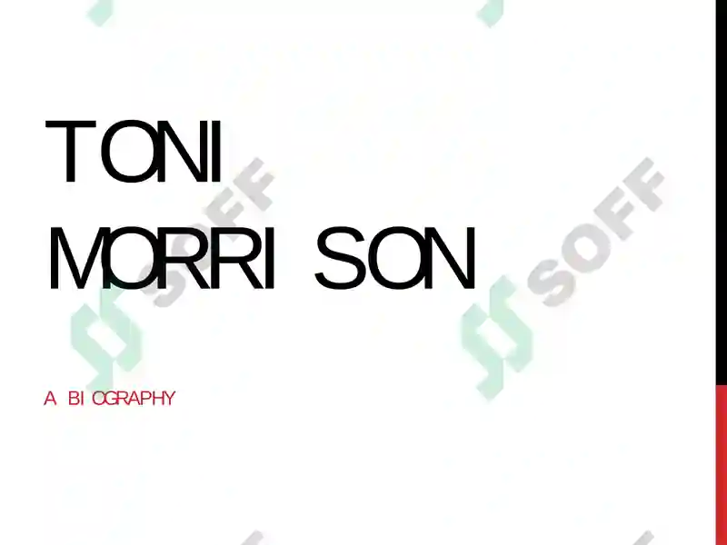 Preview 3