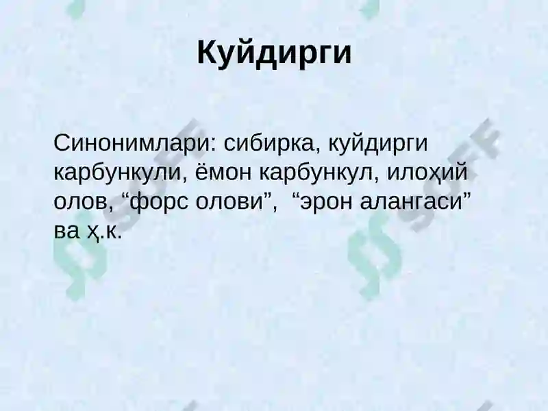 Kuydirgi (Anthrax) 3