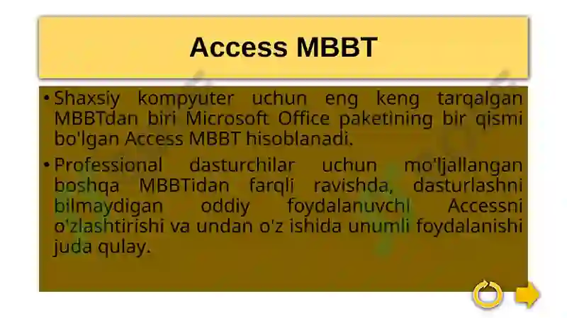 Microsoft Access 3