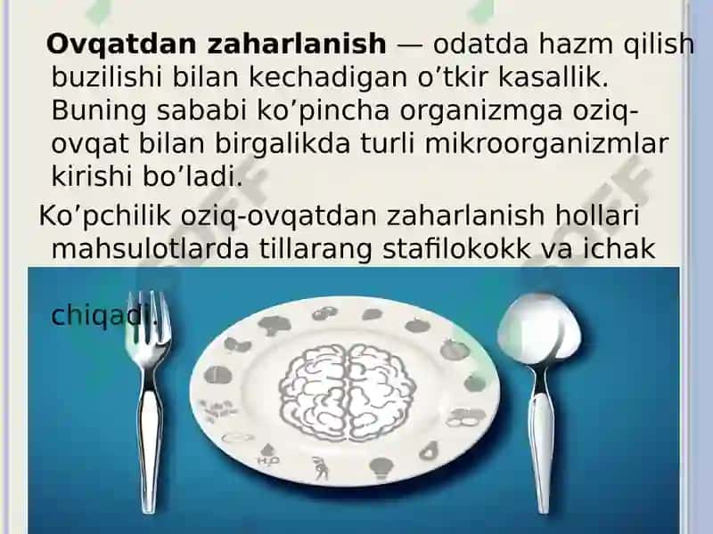 Ovqatdan zaharlanish turlari, keltirib chiqaruvchi sabablari va ularni oldini olishning profilaktik chora tadbirlari 3