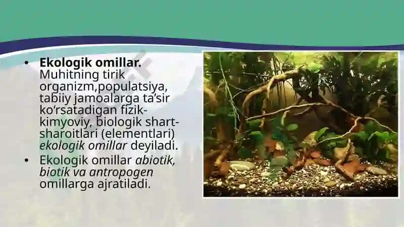 MAKROMUHIT OMILLARI DEMOKRATIK IQTISODIYOT TABIAT OMILLARI ILMIY TEXNIK OMILLAR, SIYOSIY HUQUIY OMILLAR 3