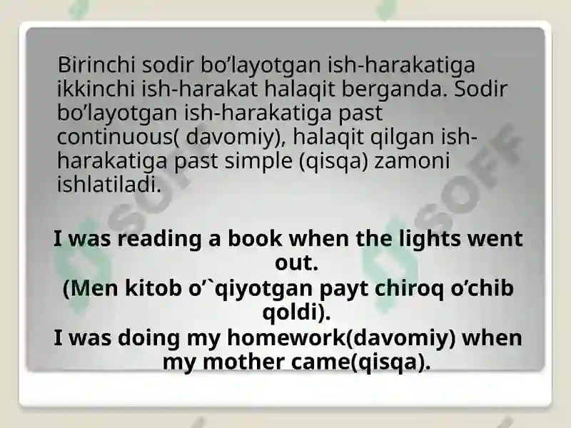 Past Continuous Tense 3