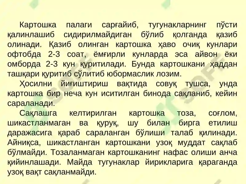 Картошка ва полиз маҳсулотларини сақлаш технологияси 3