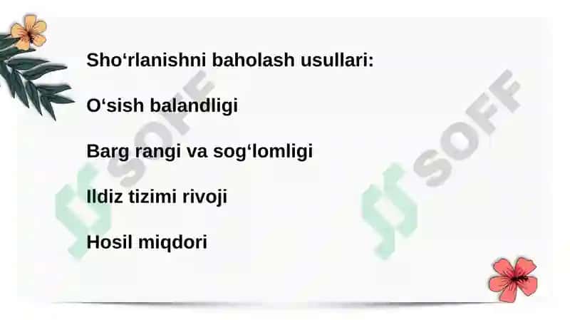 O'simlikning sho'rlanishga chidamliligi. 3
