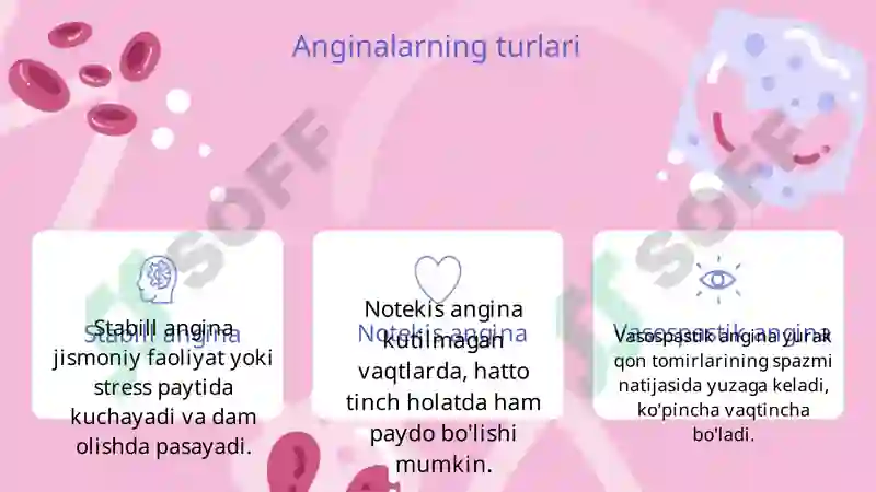 Anginalar 3