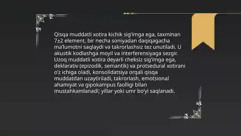 Xotira 3