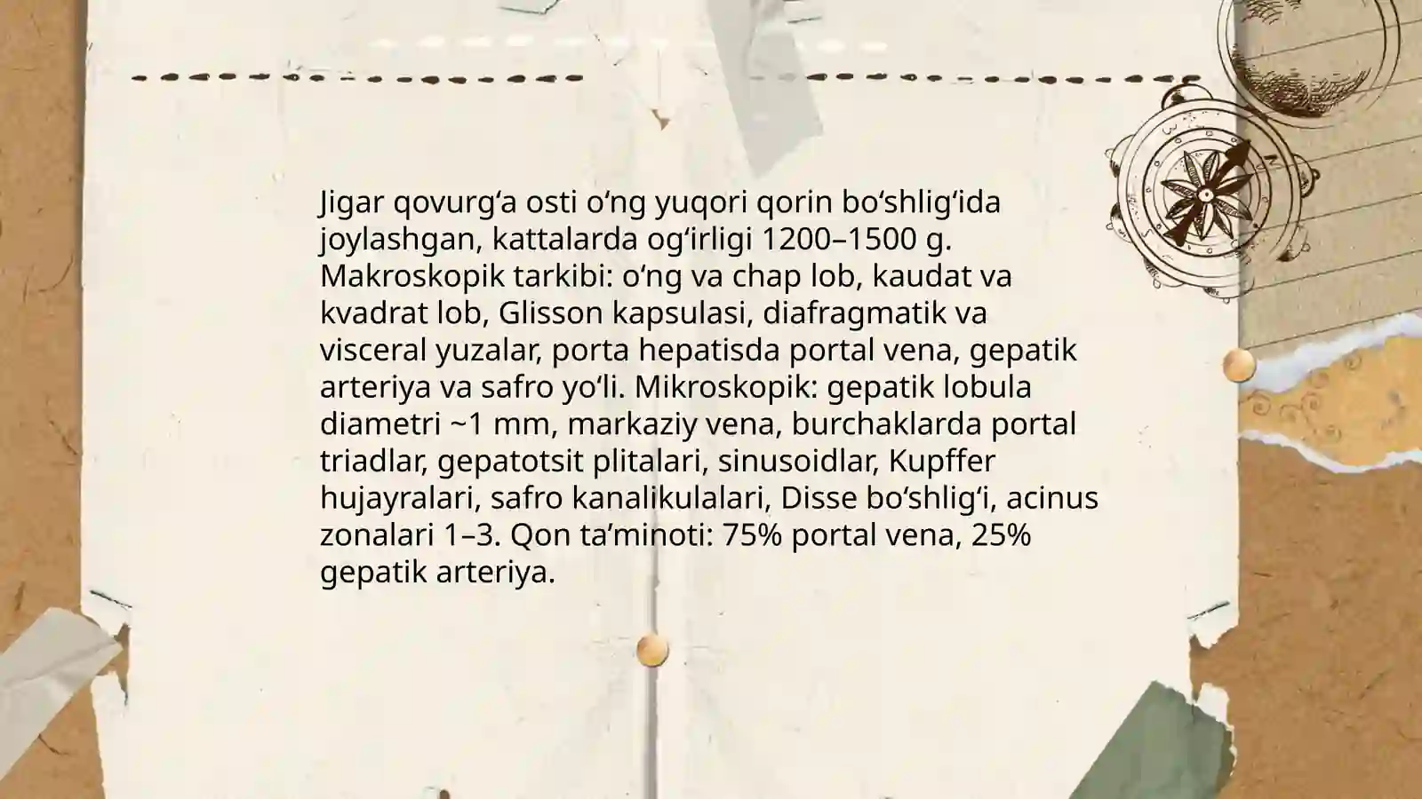 Ovqat hazm qilish tizimi jigar anatomiyasi fiziologiyasi va patologiyasi 3