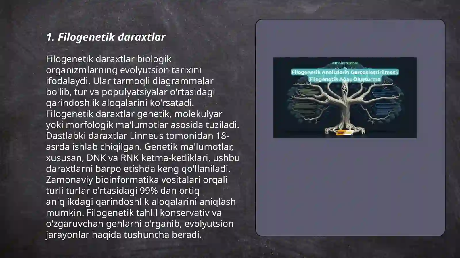 Filogenetik daraxtlar 3