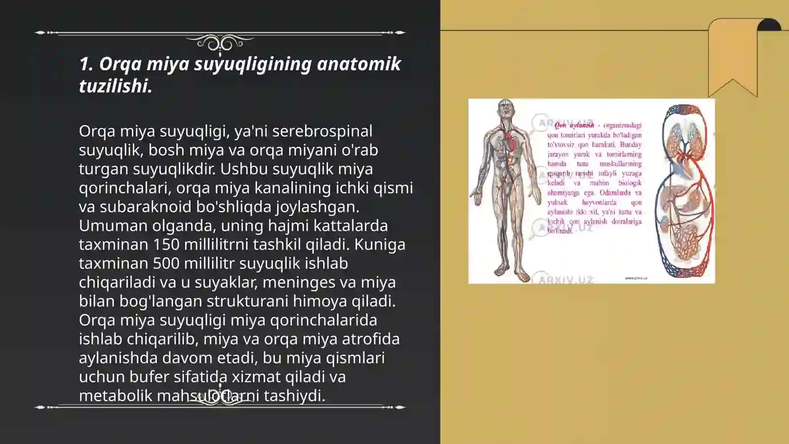 Orqa miya suyuqligi: xosil bo‘lishi, tarkibi, klinik ahamiyati 3