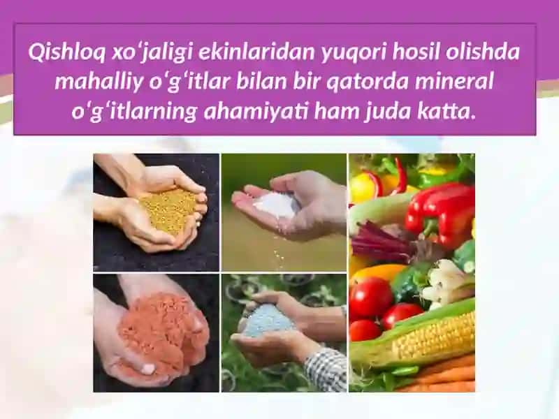 Mineral O‘g‘itlarva Ularni Qishloq XO’Jaligida Qo’llanishi 3