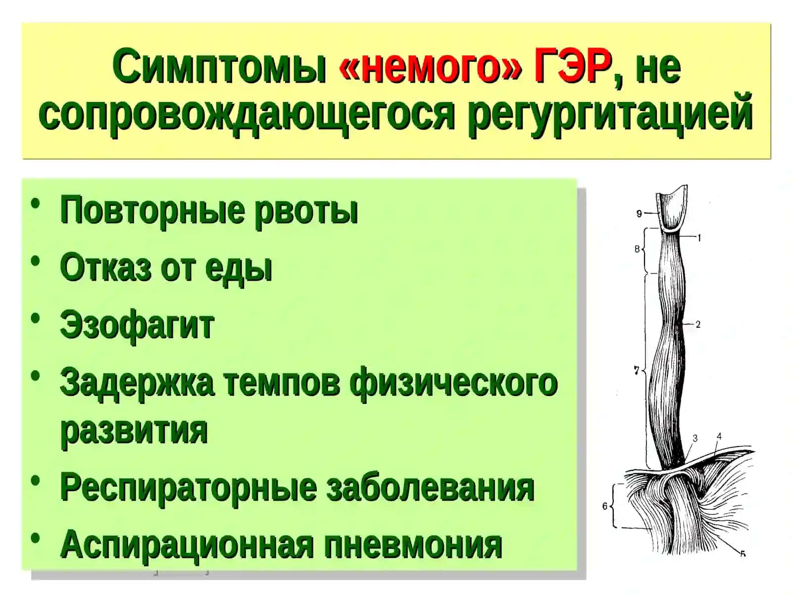 Рвотный синдром у детей 3