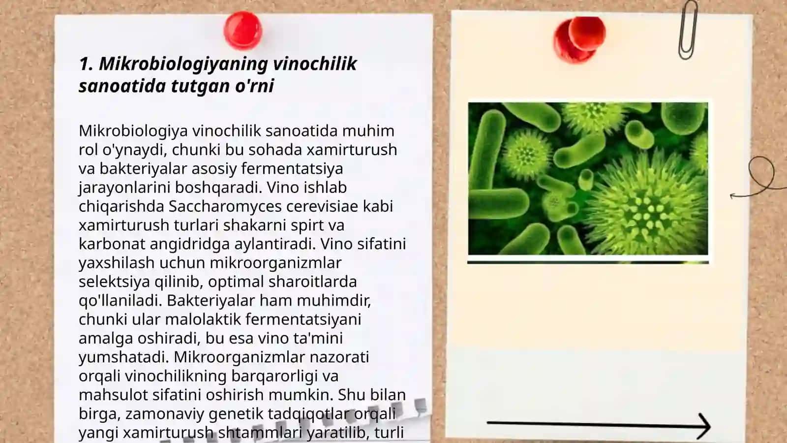 Mikrobiologiya fanining vinochilik sanoatida tutgan o'rni 3